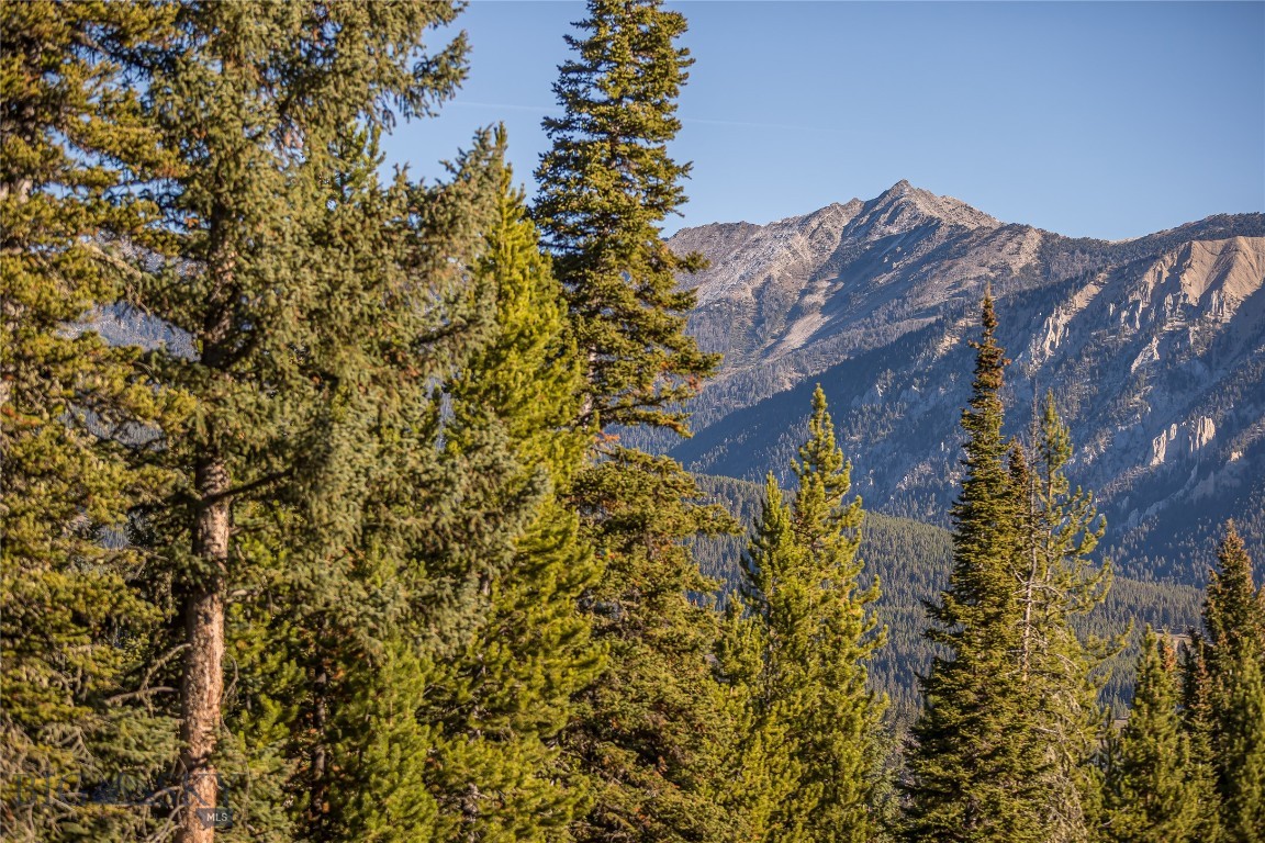 TBD Bitterbrush Trail, Lot 39