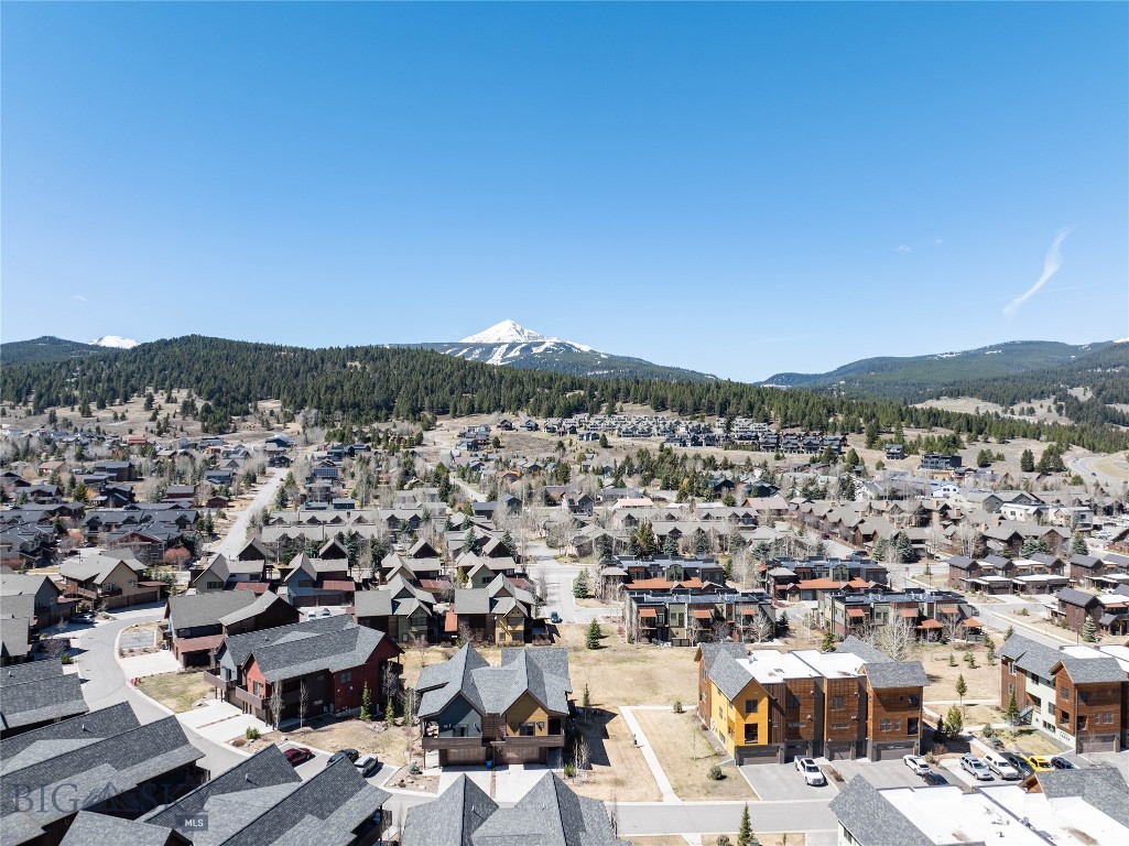 250B Pheasant Tail B