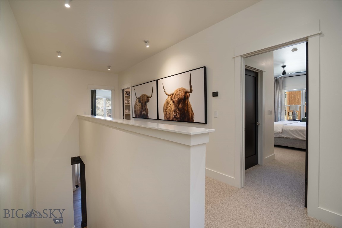 250B Pheasant Tail B