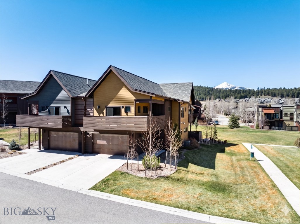 250B Pheasant Tail B