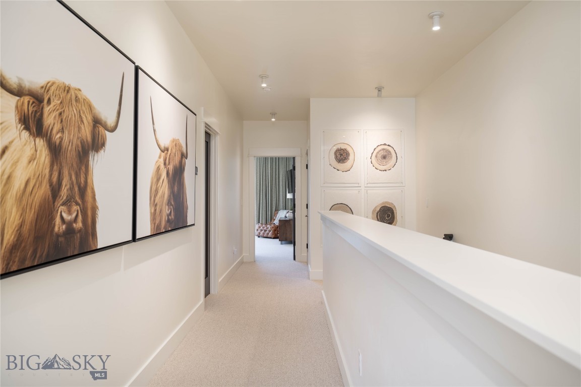 250B Pheasant Tail B