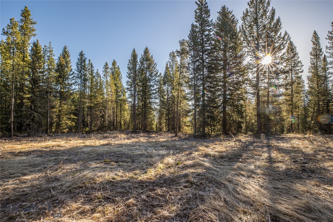 1670 Michener Creek