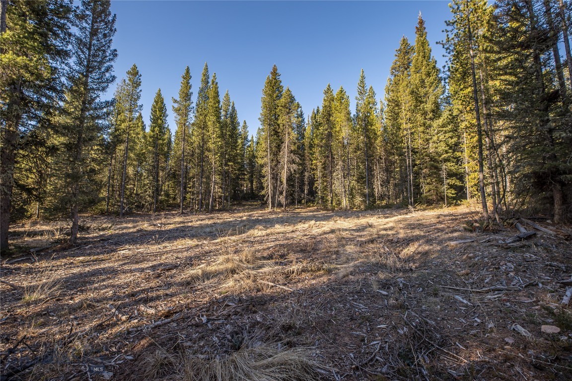 1670 Michener Creek