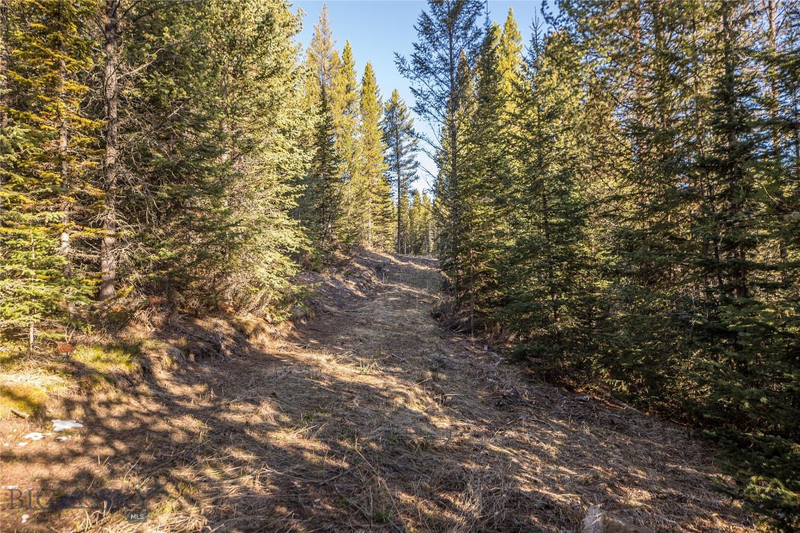 1670 Michener Creek
