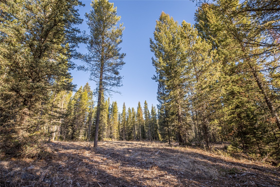 1670 Michener Creek