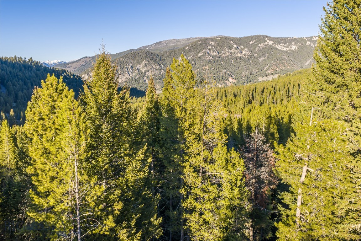 1670 Michener Creek