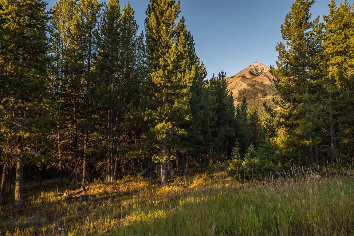 TBD Swift Bear Road, Lot 258