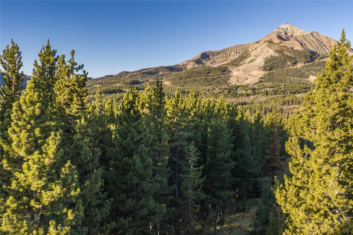 TBD Swift Bear Road, Lot 258