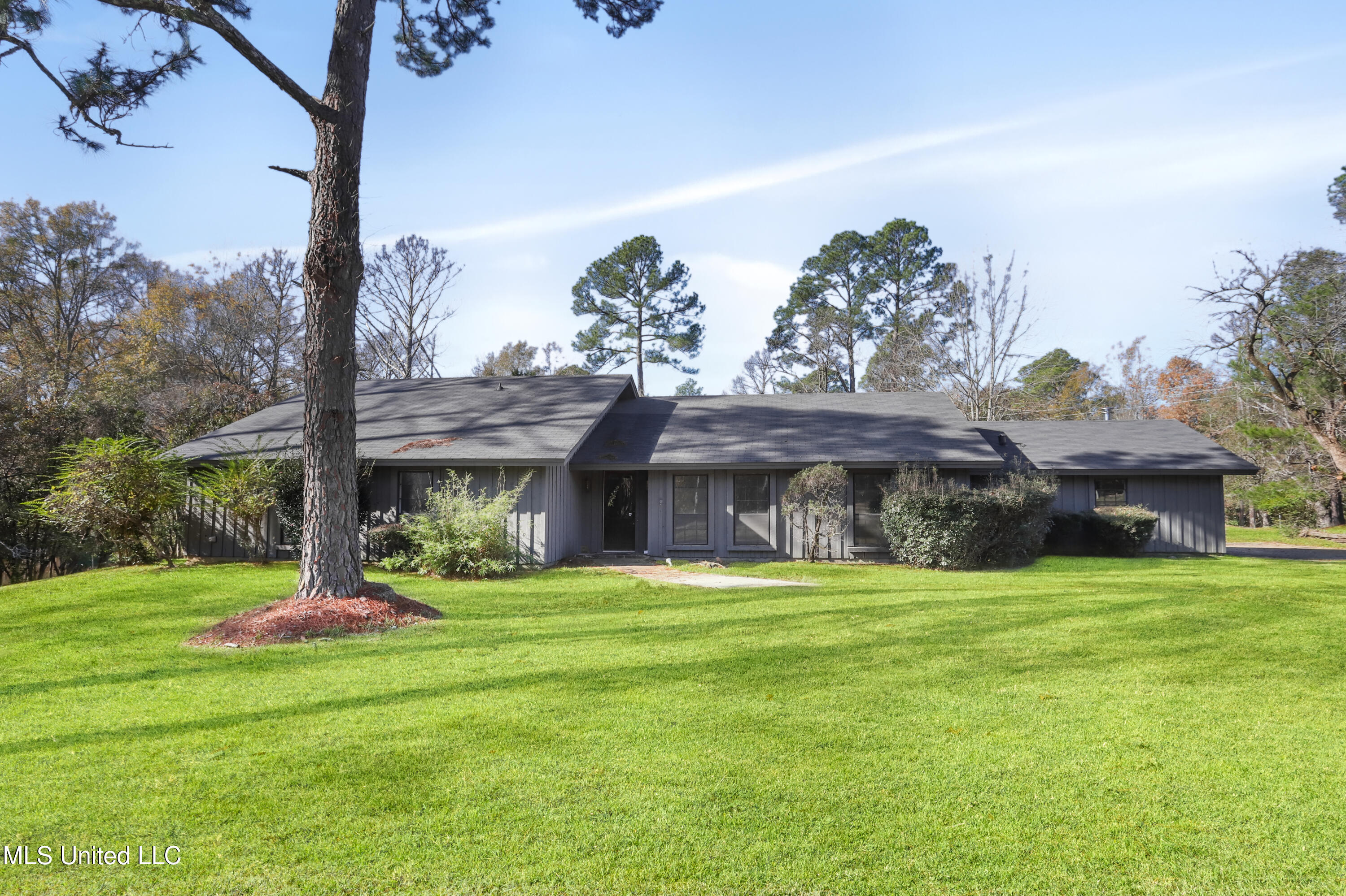 26 Blackberry Lane