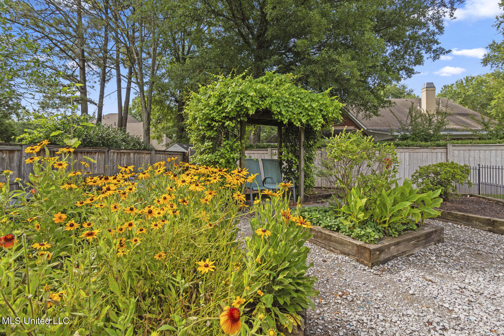 205 Bellewether