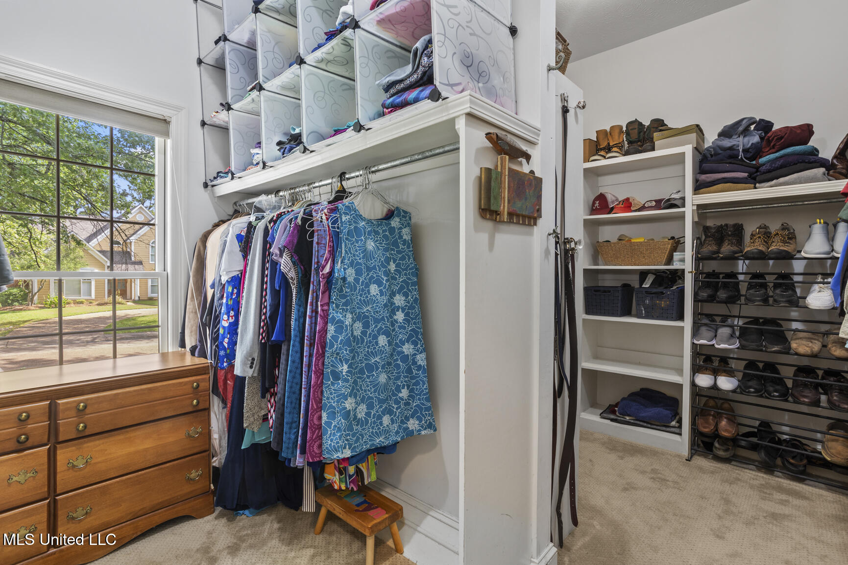 205 Bellewether