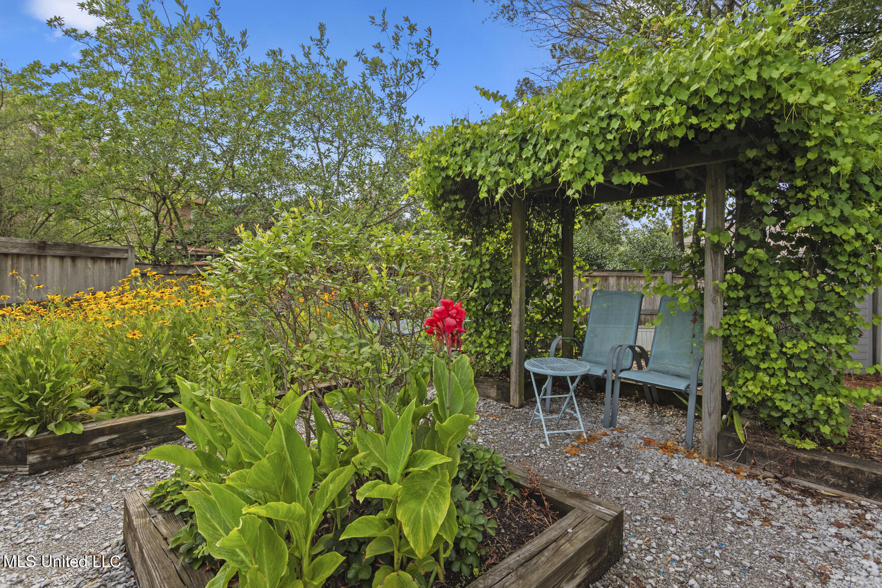 205 Bellewether