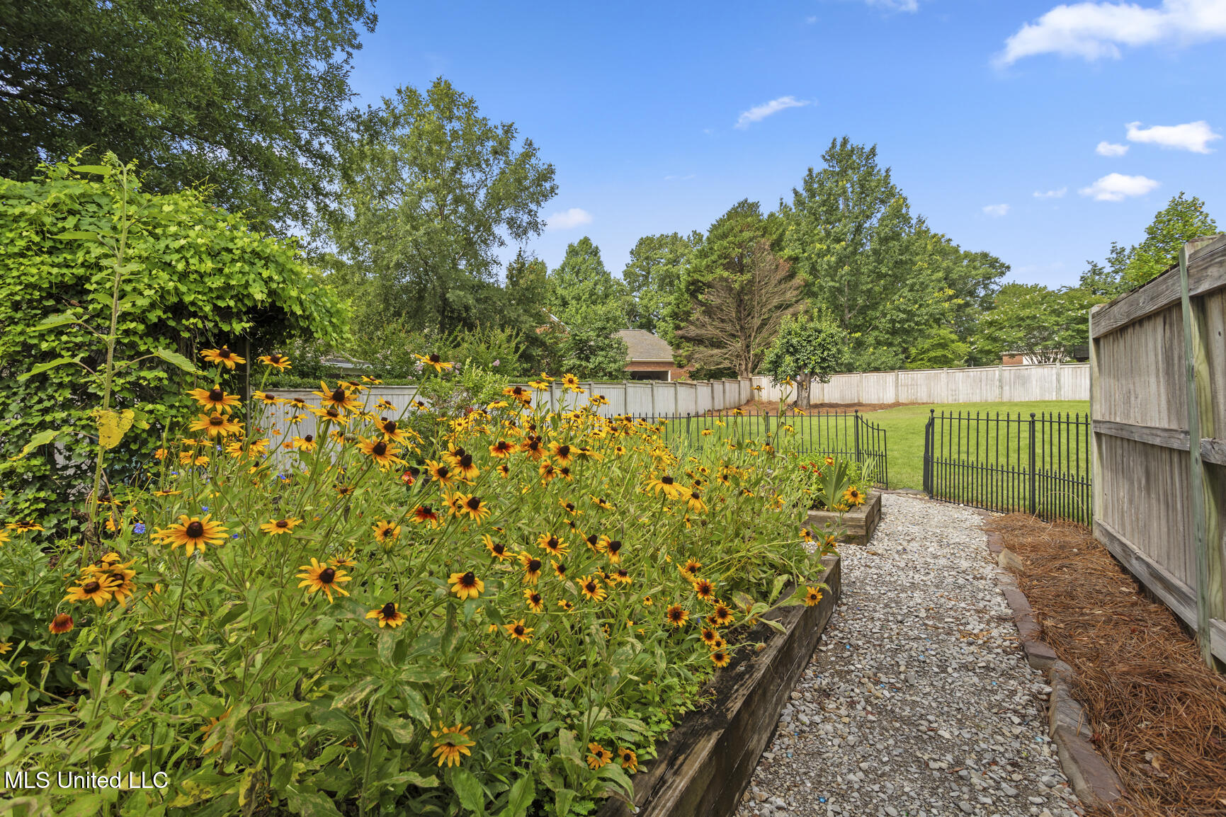 205 Bellewether