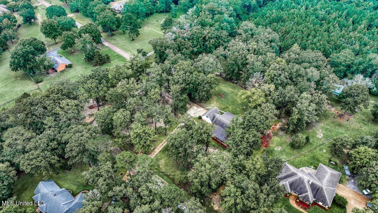 111 Meadowview Drive