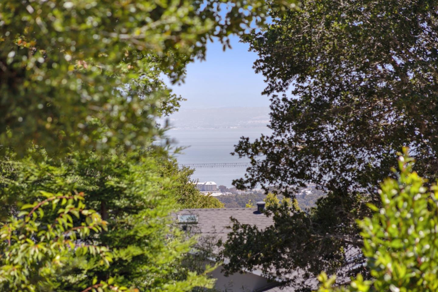 Stunning Seclusion in Burlingame Hills