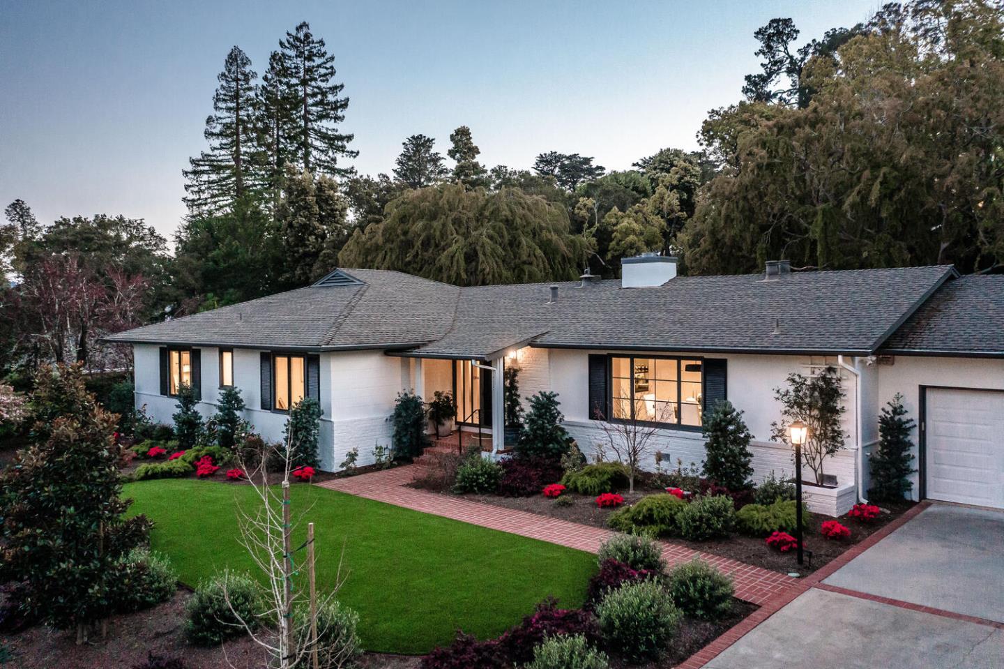 Classic Carolands Beauty