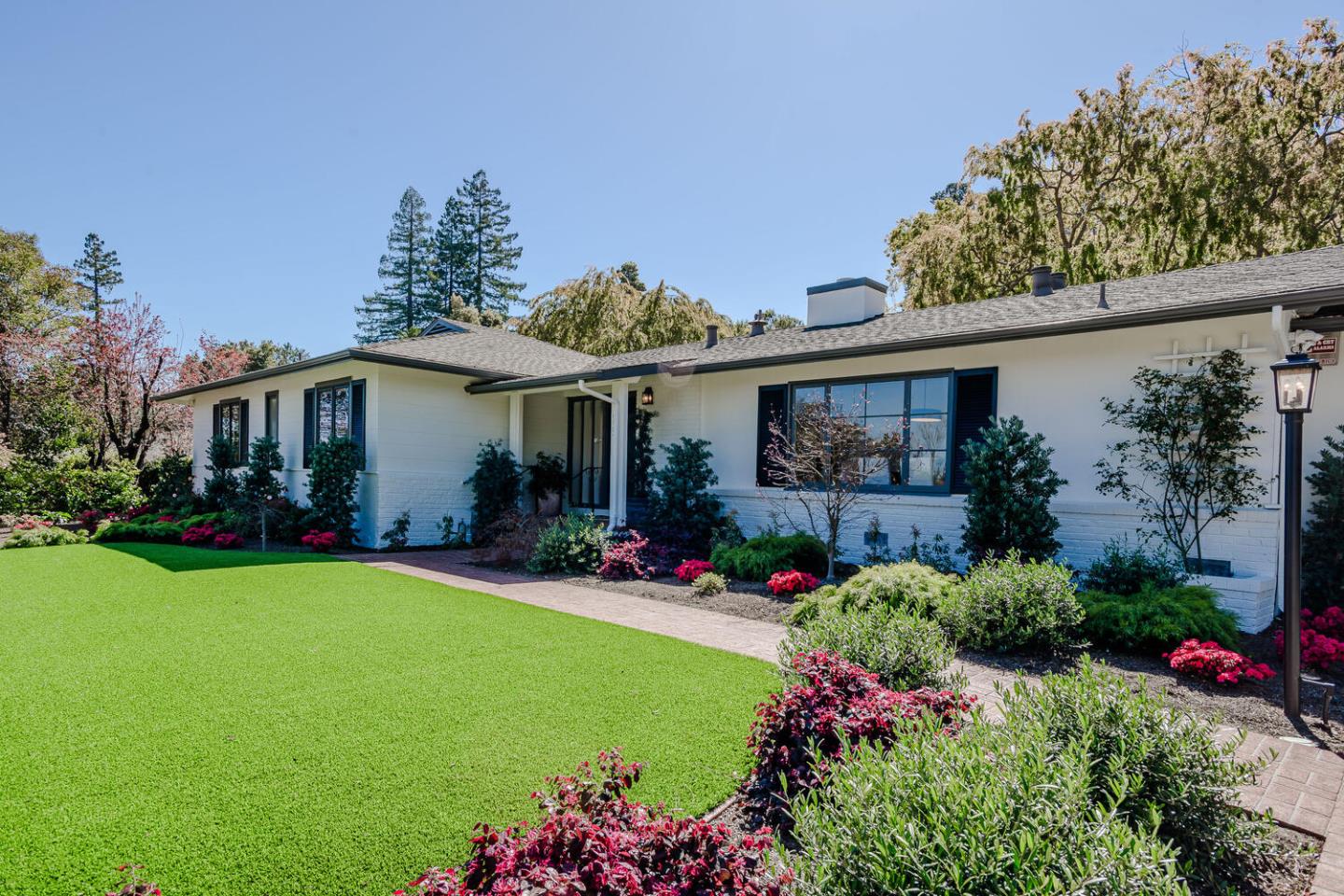 Classic Carolands Beauty