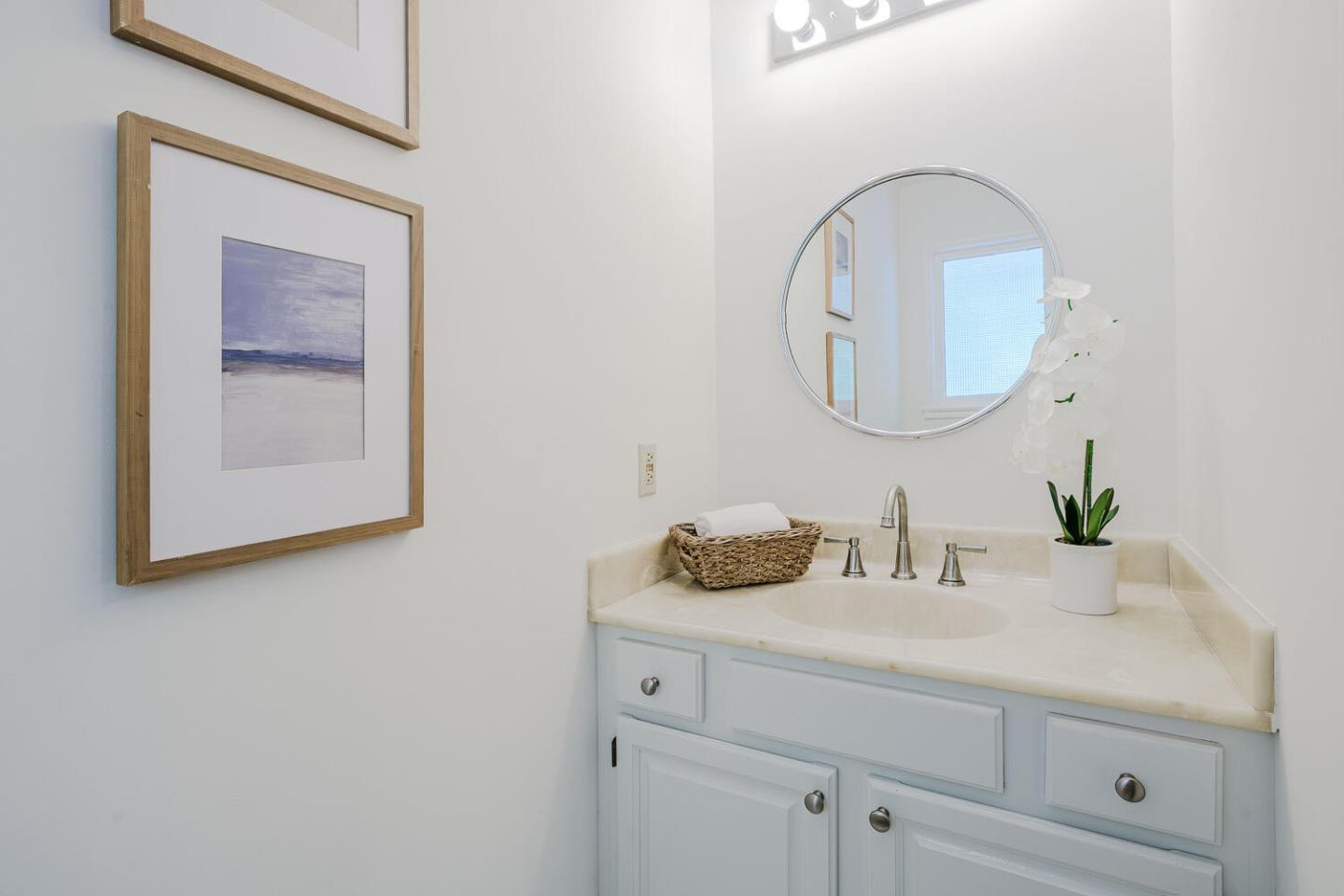 Classic Carolands Beauty