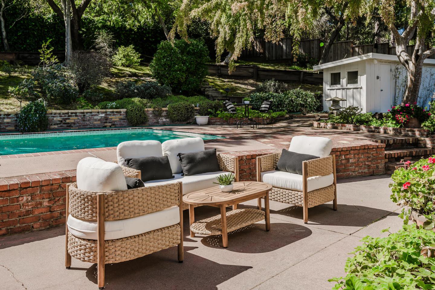 Classic Carolands Beauty