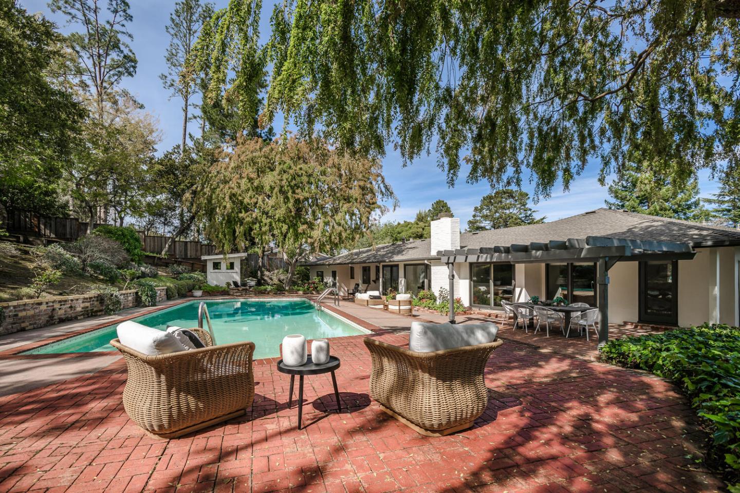 Classic Carolands Beauty