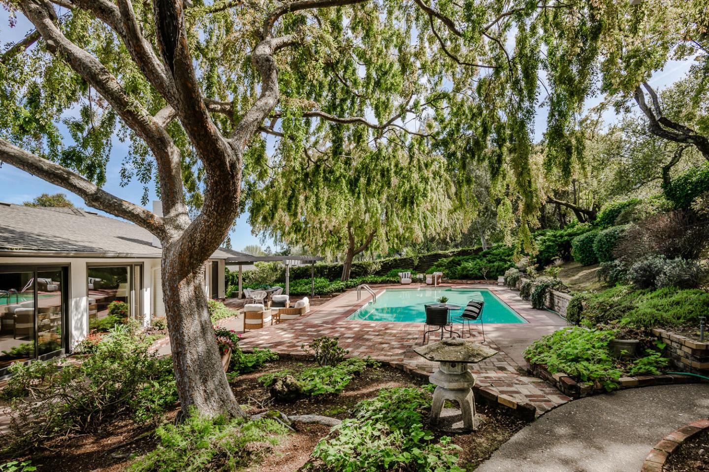 Classic Carolands Beauty