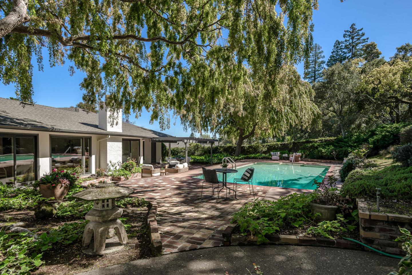 Classic Carolands Beauty