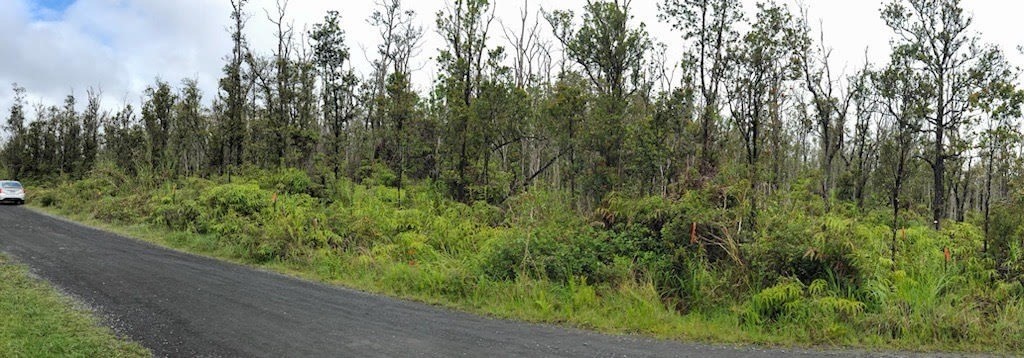KALEPONI DR