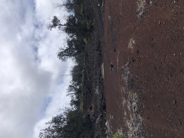 92-1935 PRINCESS KAIULANI BLVD