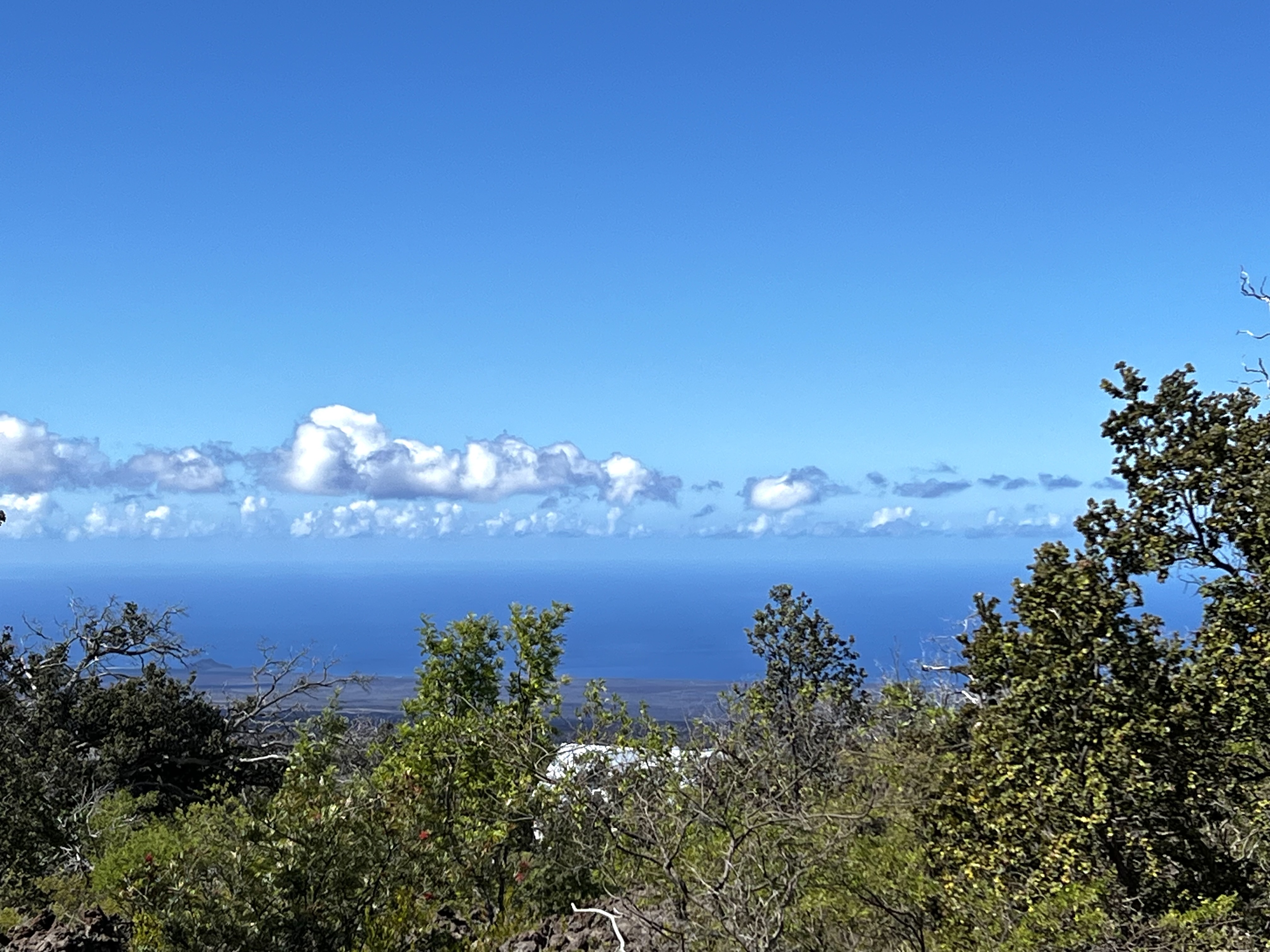 PRINCESS KAIULANI BLVD