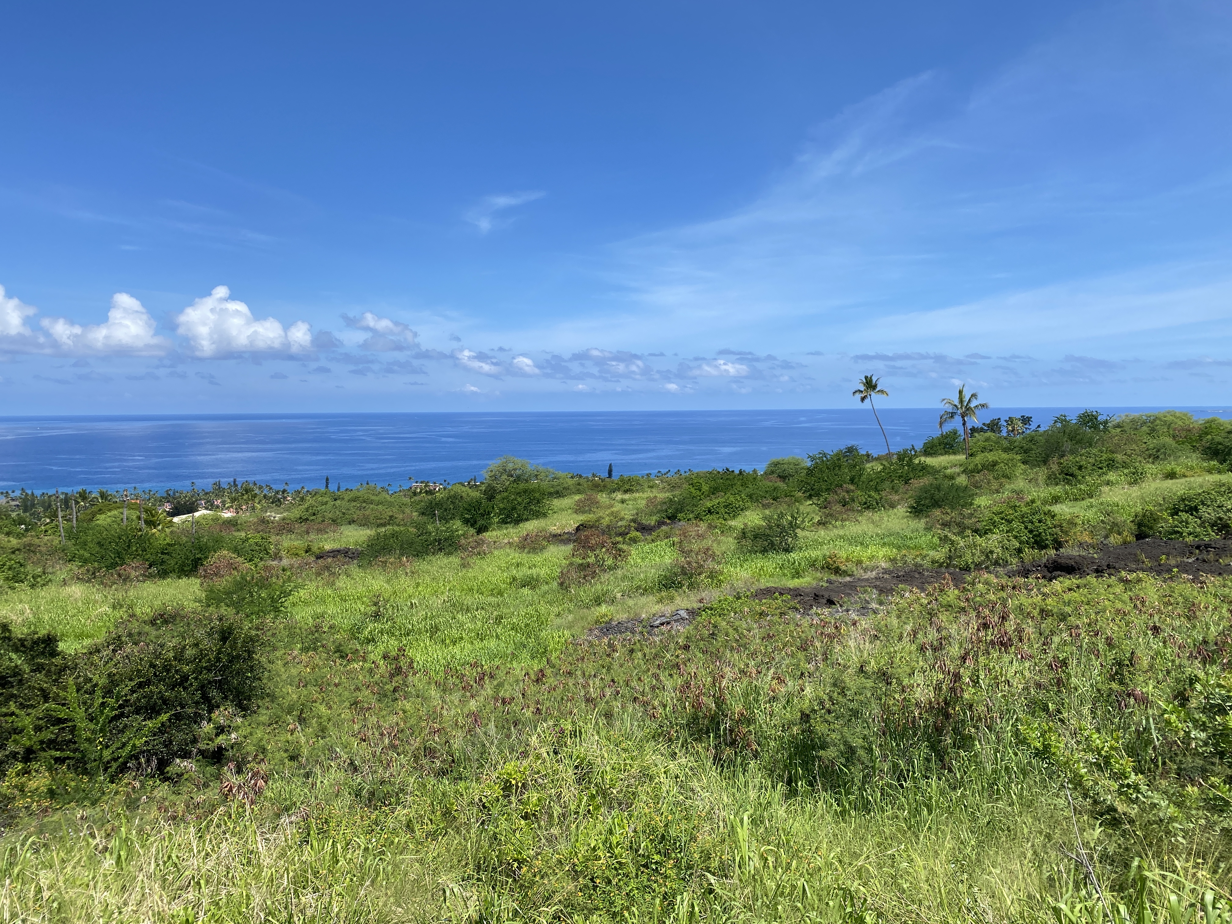 78-6980 KALUNA ST 155