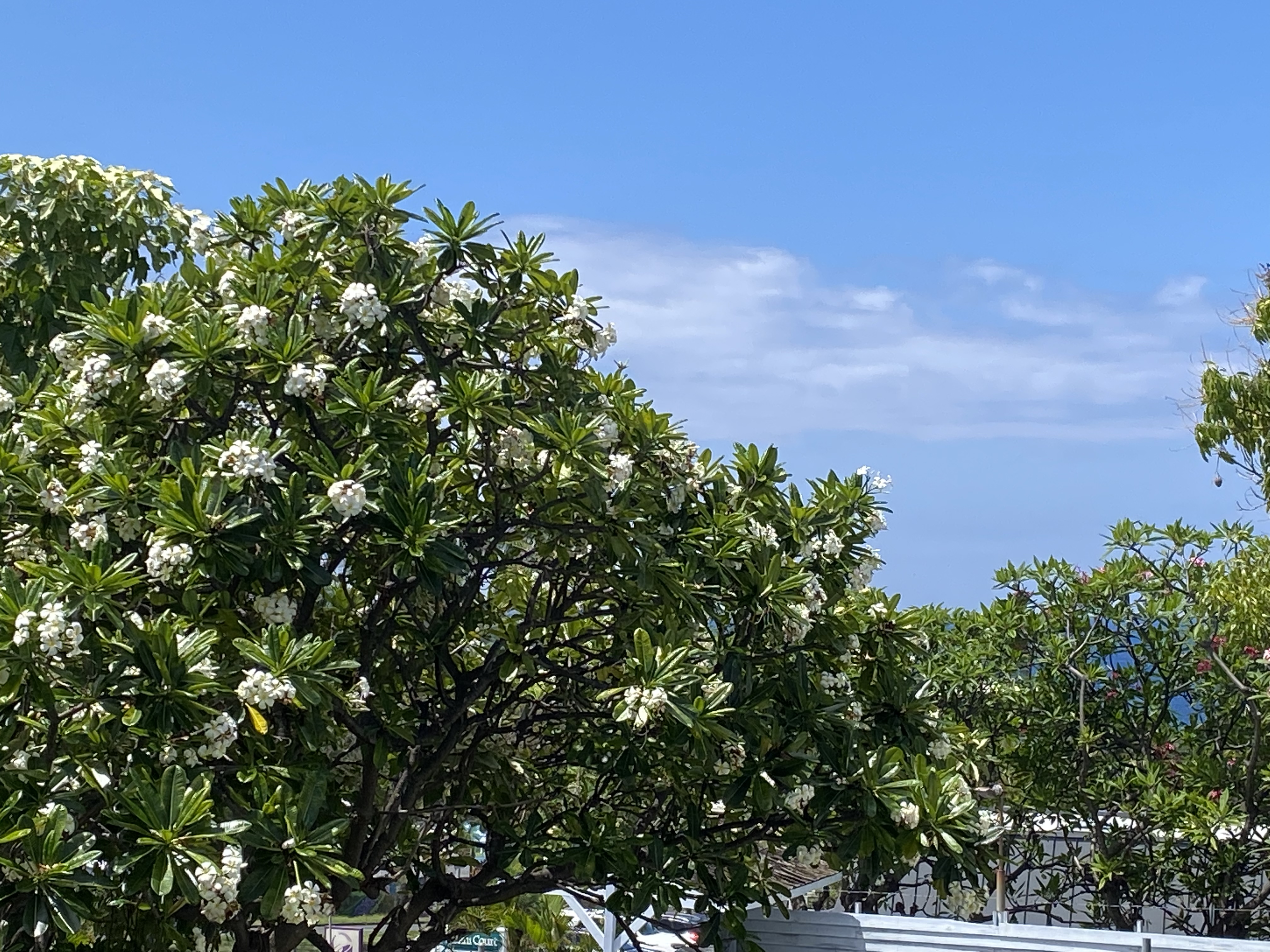74-5618 PALANI RD D5