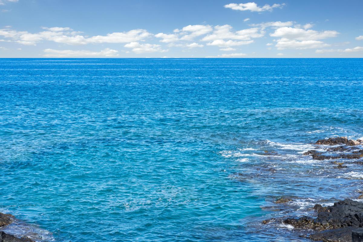 75-6026 ALII DR 2203