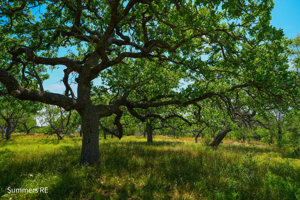 5077 Old Pontotoc Rd