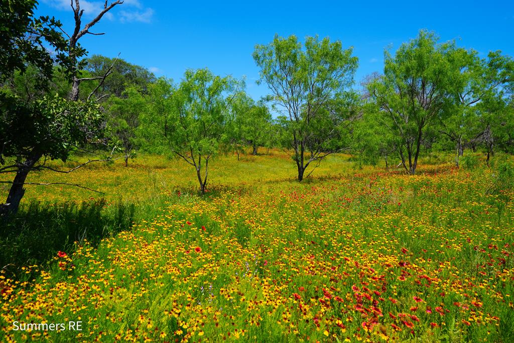 5077 Old Pontotoc Rd