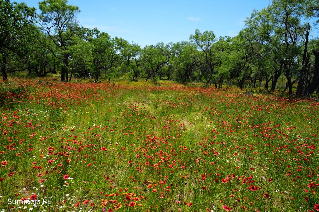 5077 Old Pontotoc Rd