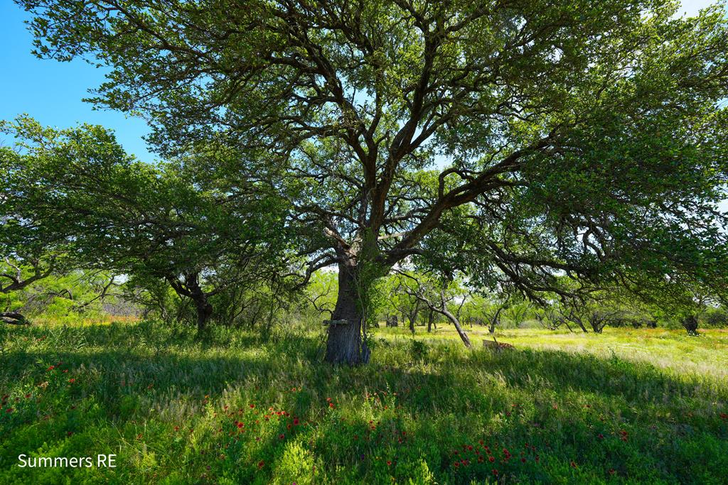 5077 Old Pontotoc Rd