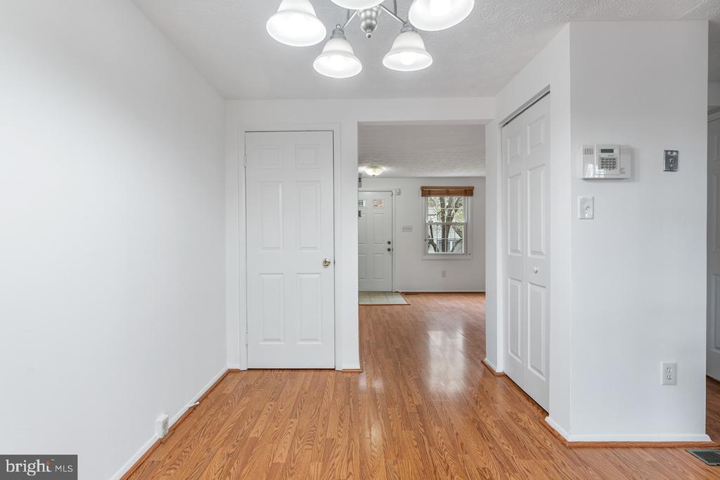 11562 IVY BUSH COURT
