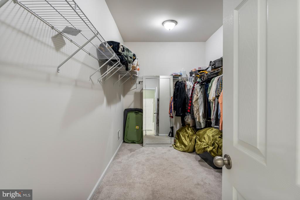 11408 LORDS LN