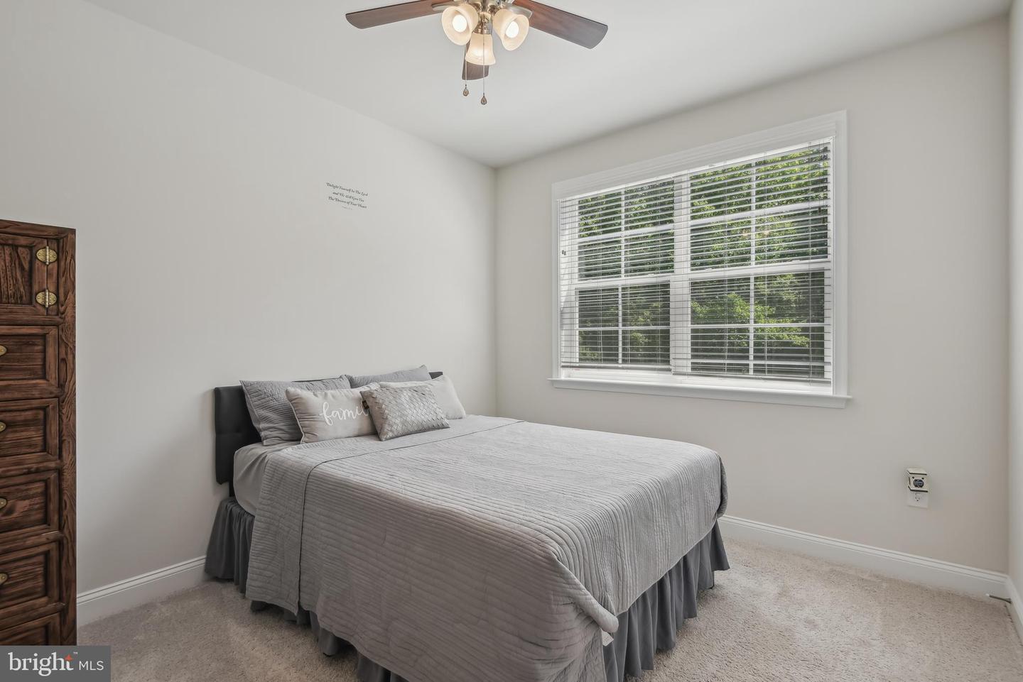 209 Elm St