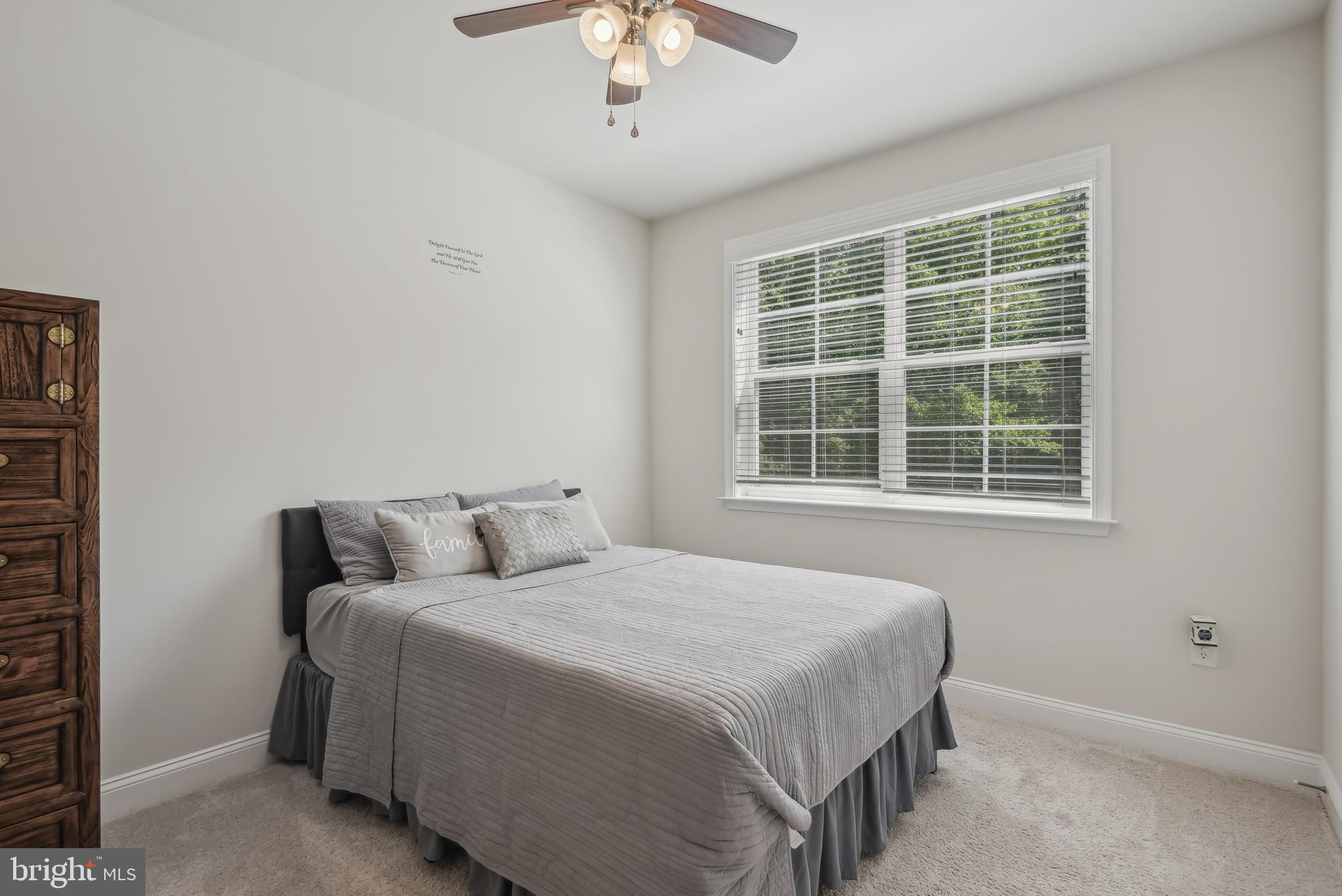 209 Elm St