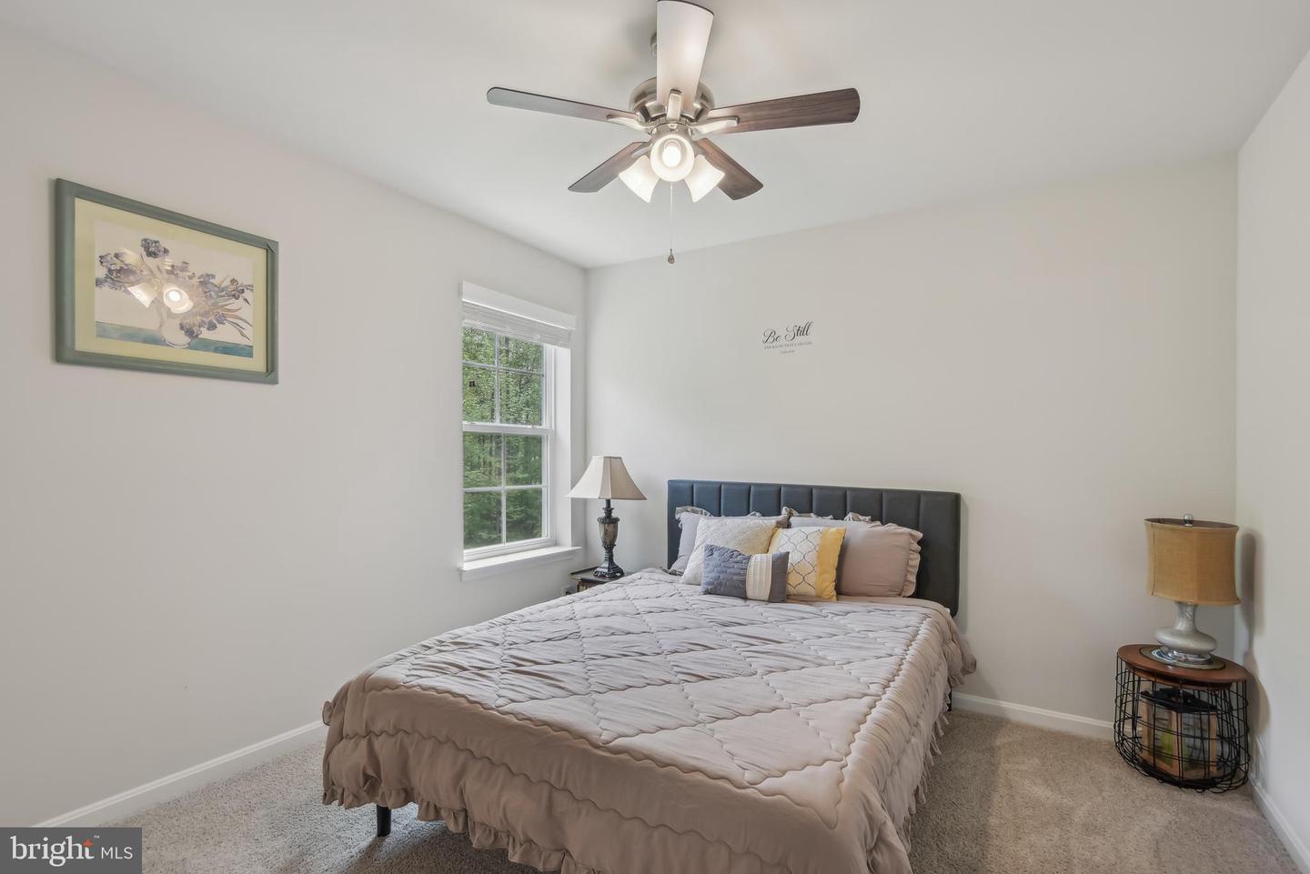 209 Elm St