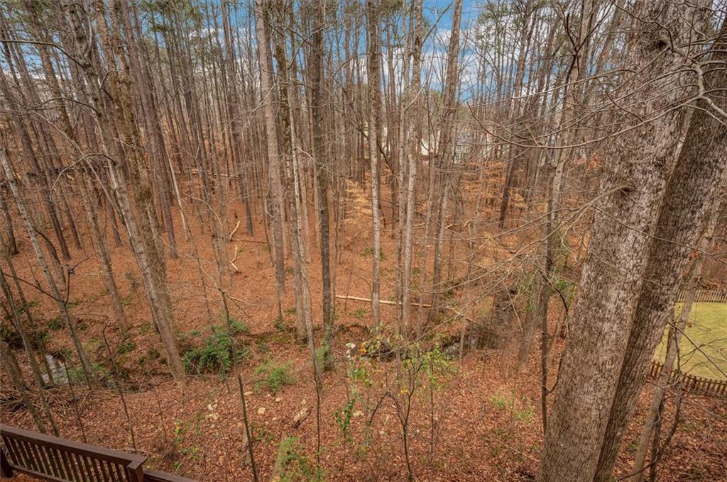 455 Dunhill View Court