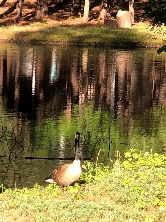 1355 Mayfield Manor Drive