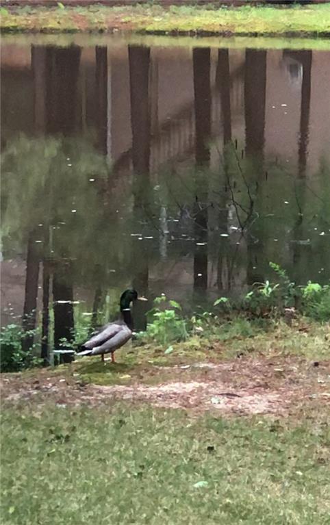 1355 Mayfield Manor Drive