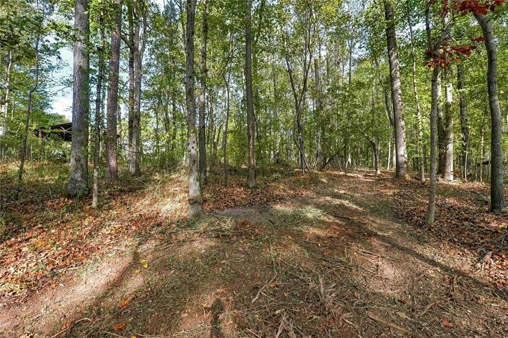 2815 Mountain Road