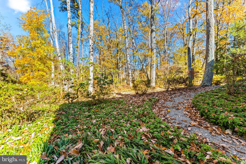 300 Windfern Ct