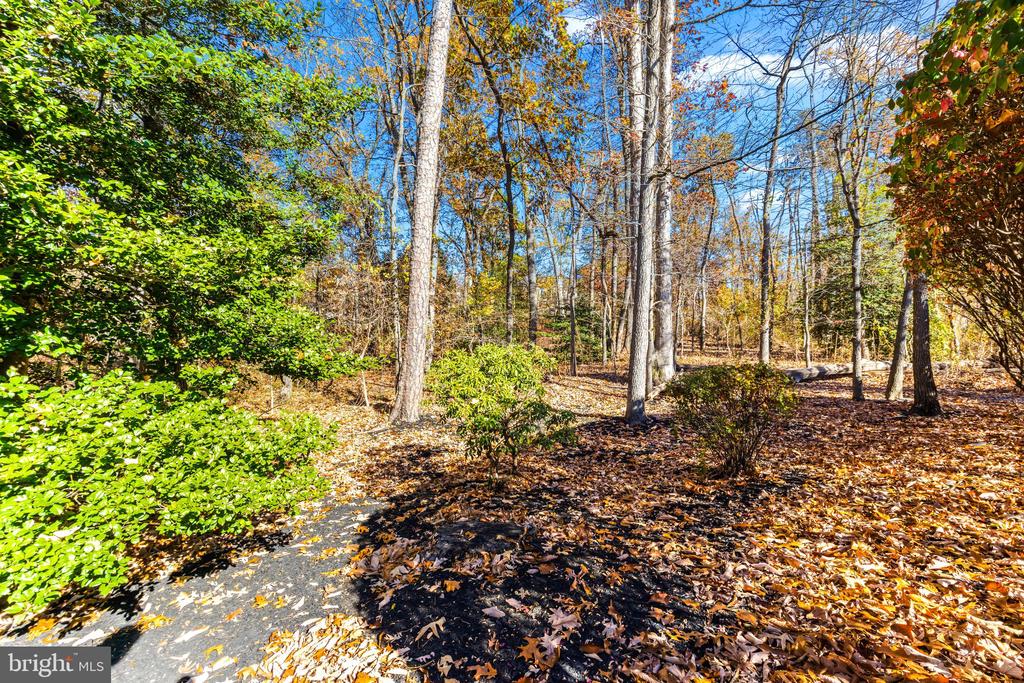 300 Windfern Ct