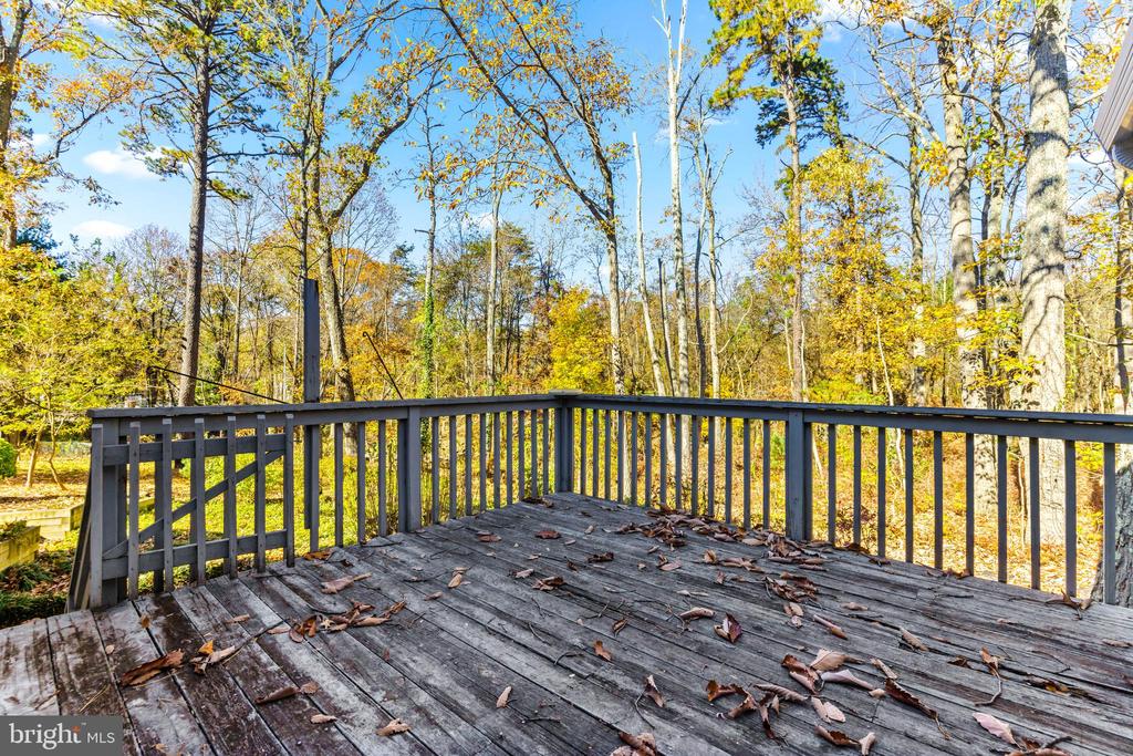 300 Windfern Ct