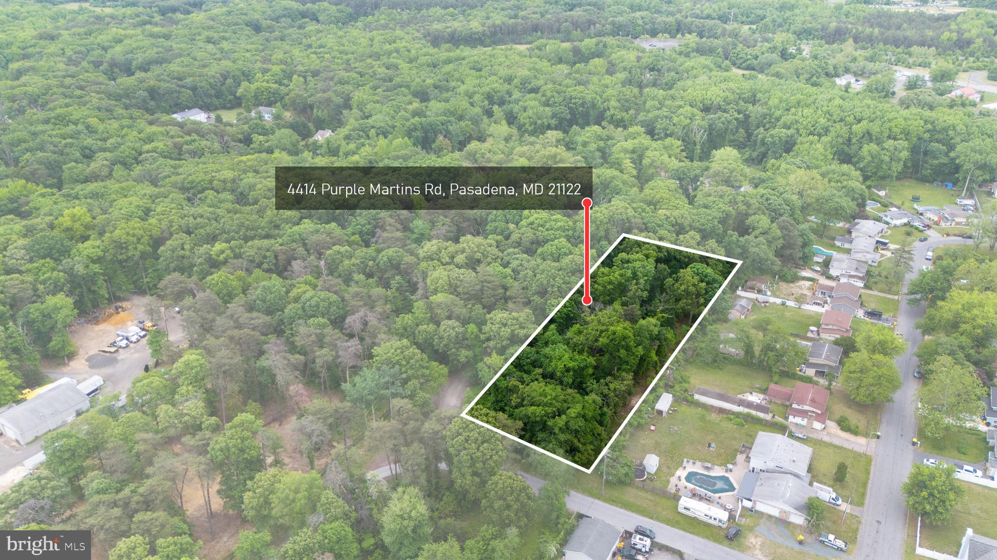 Purple Martins Ln