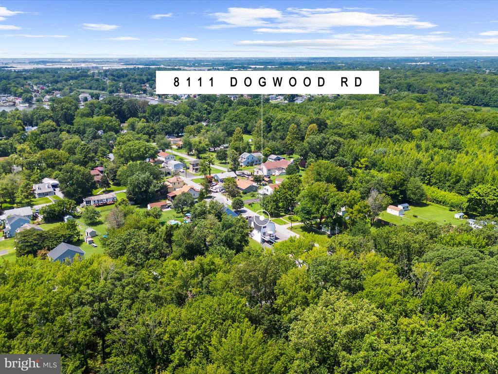 8111 DOGWOOD